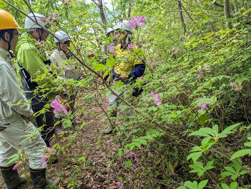 研修地散策の様子1