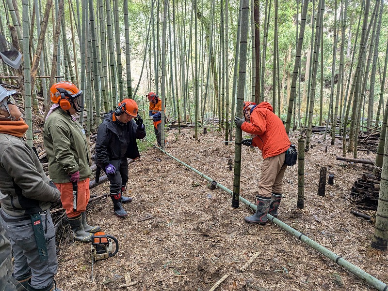竹林整備実習1