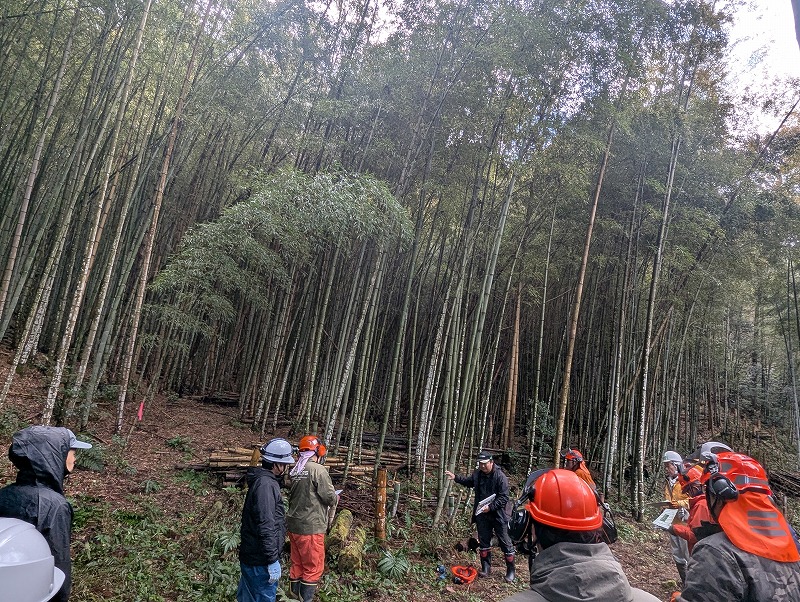 竹林整備の説明