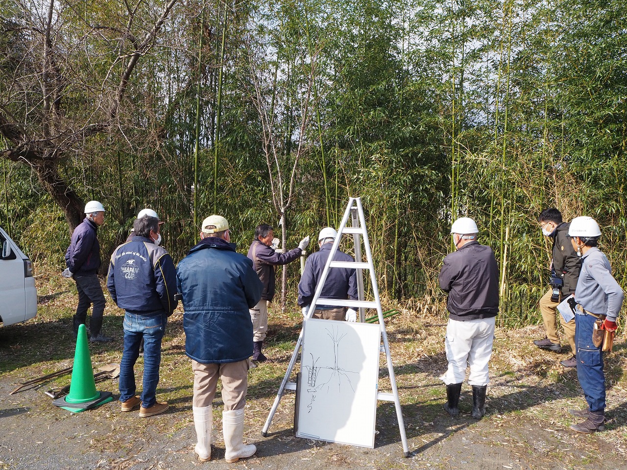 桜守など市民参画による整備