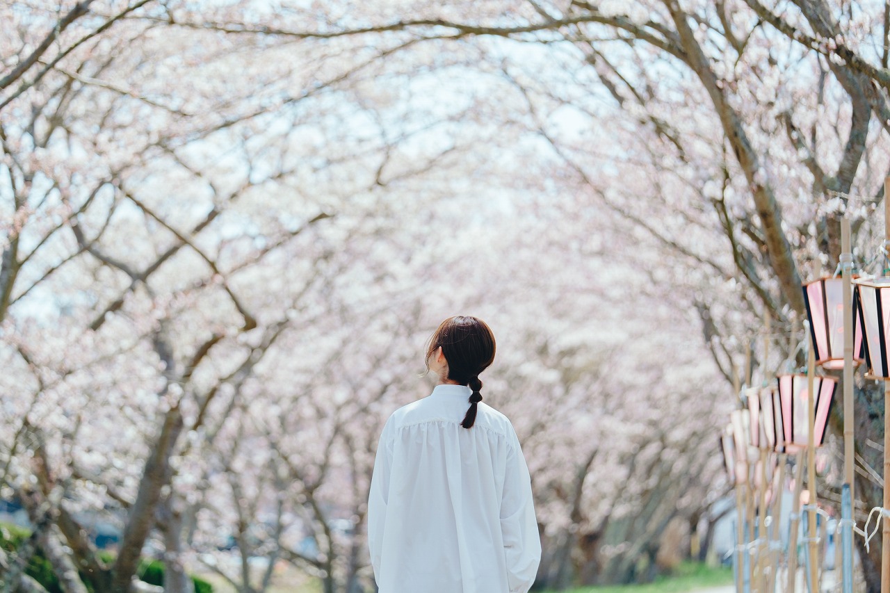 桜のトンネル