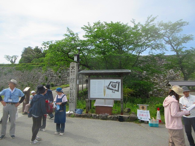 高齢者の意欲1