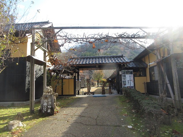 森のお散歩広場1