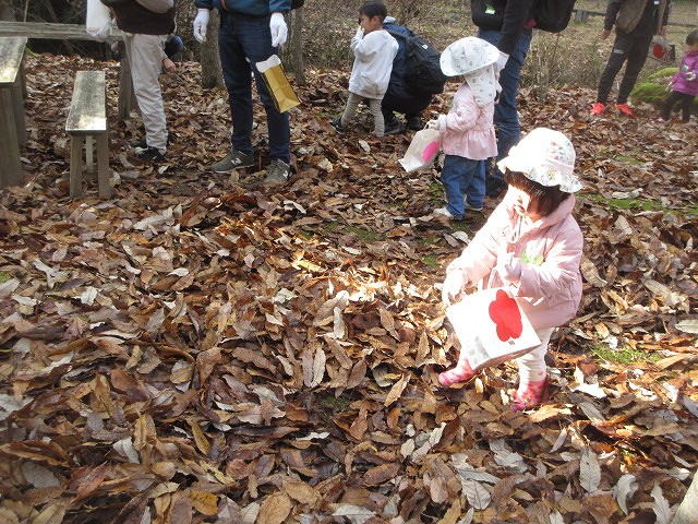 森のおさんぽ広場7