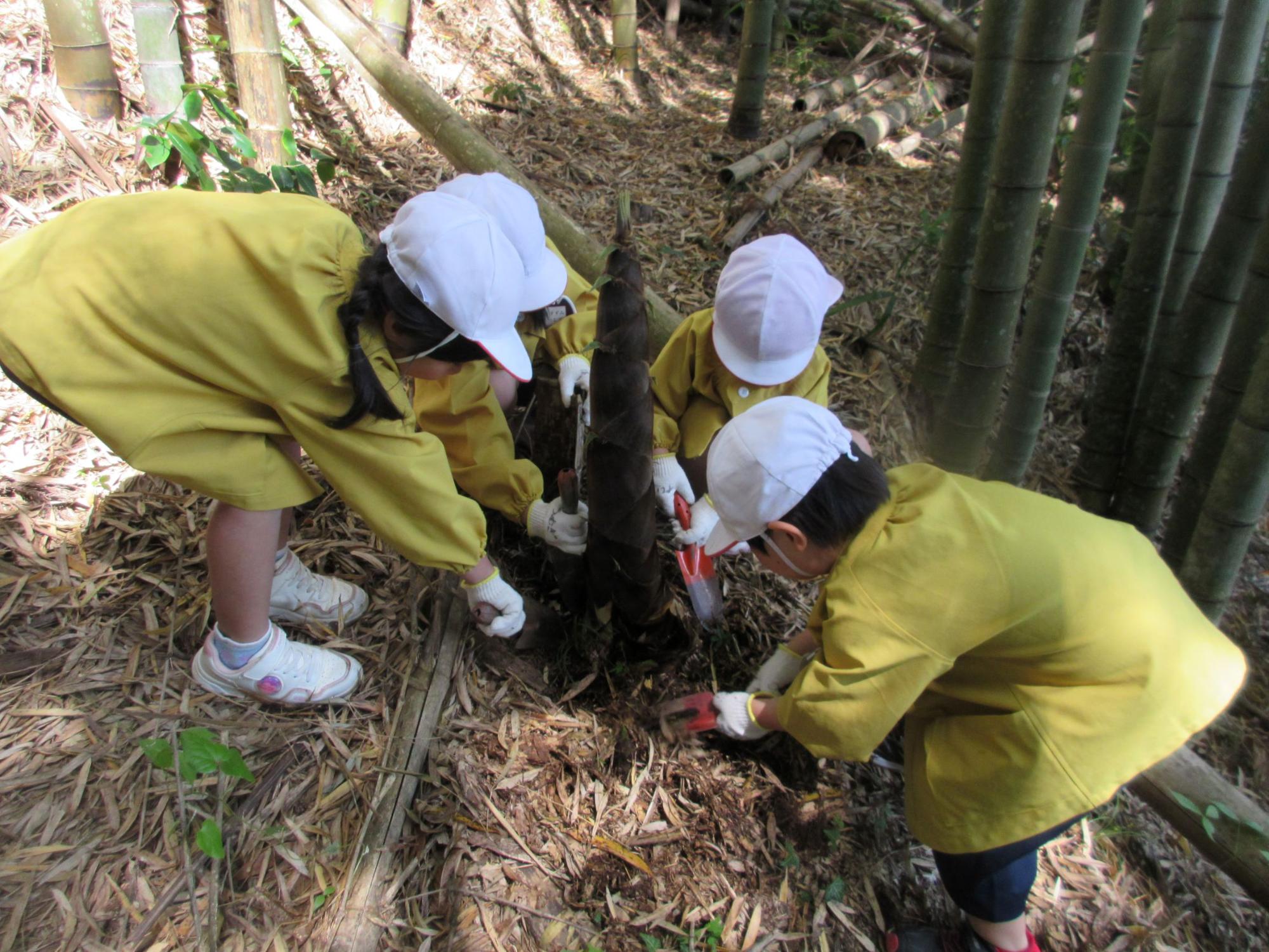 令和7年振り返り12