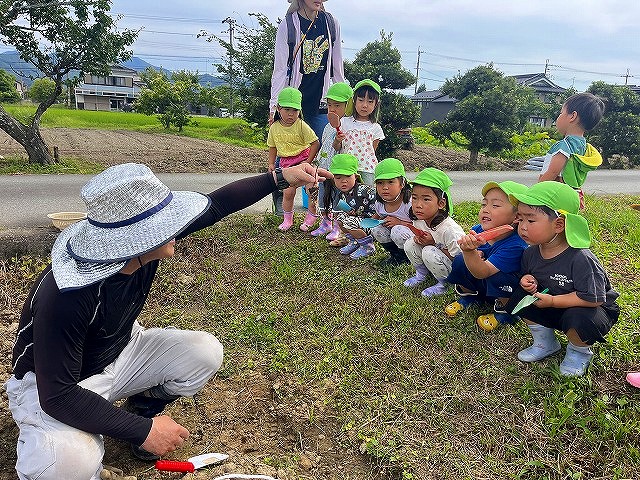 たかしろ保育園黒豆移植3