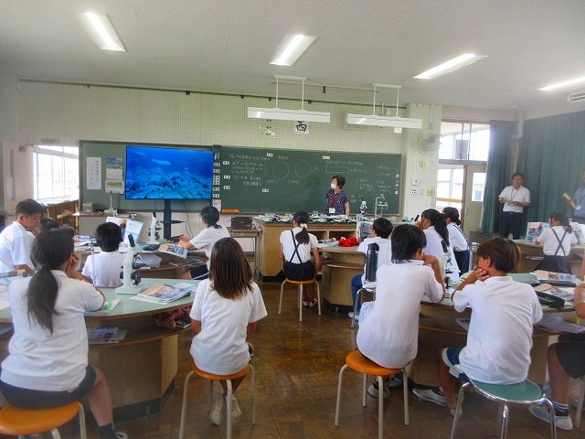 たまみず城北畑6