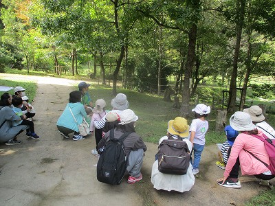 頭を低くしてハチの観察