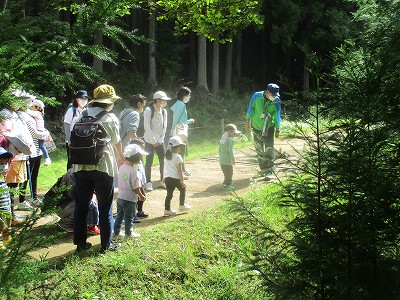 森の中のお散歩