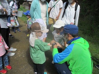 森の中の生きものや植物をほねっこが紹介