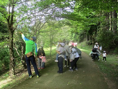 森の中のお散歩 クモの不思議がいっぱい