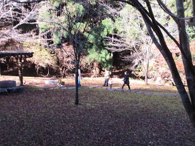 森の幼稚園10