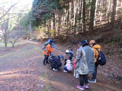 森の幼稚園9