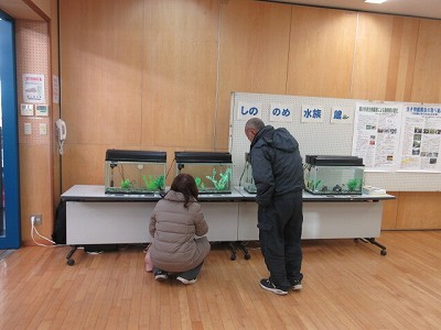市民センターまつり6