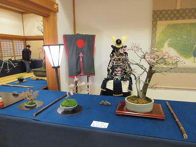 盆桜展3