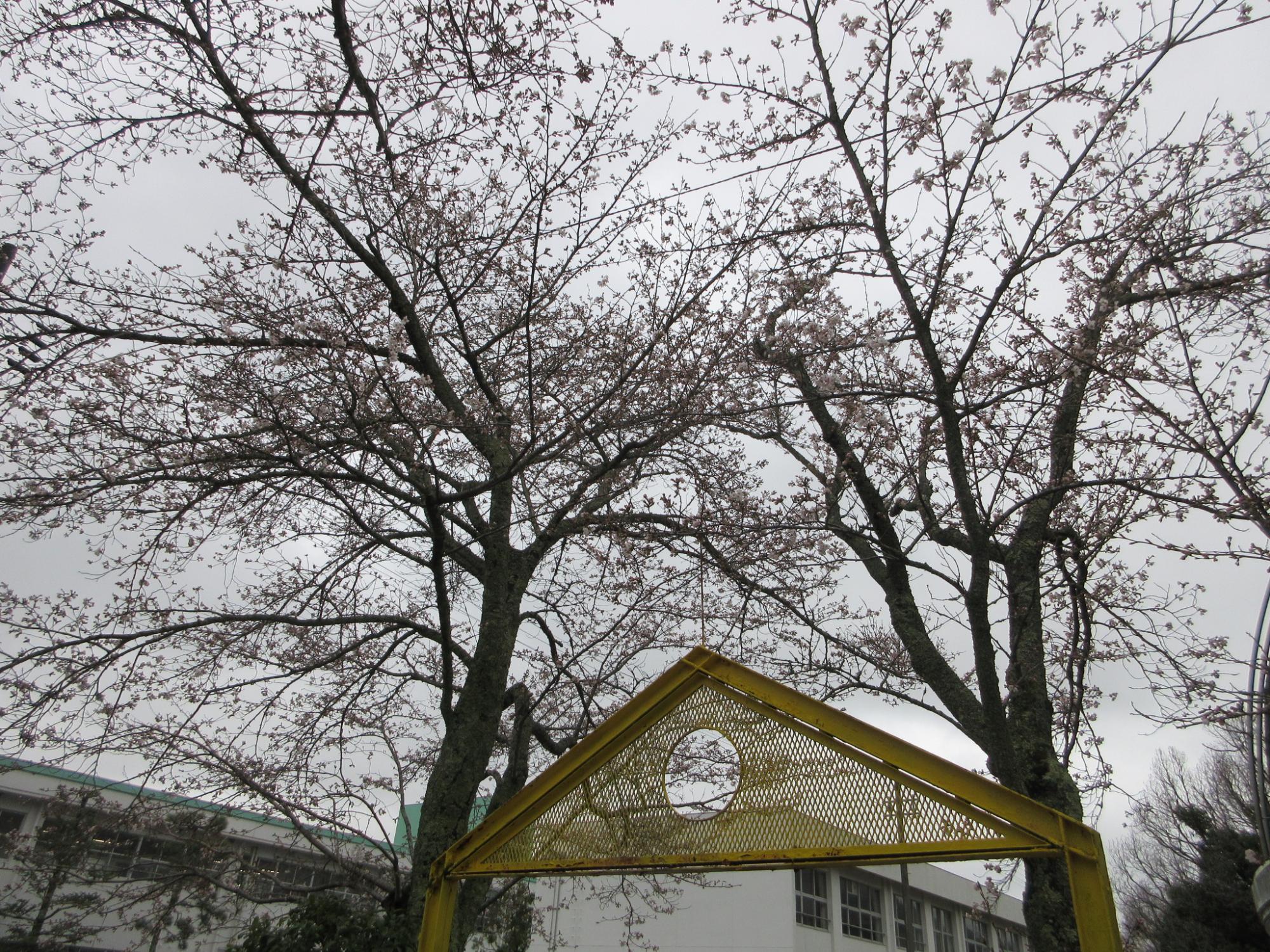 保育園入園式2