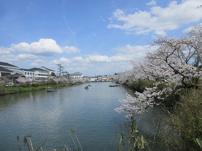 花見だよ全員集合1