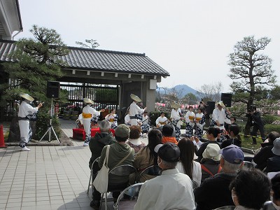 花見だよ全員集合4