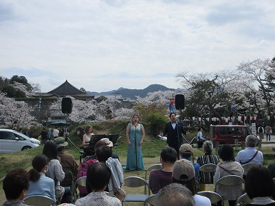 花見だよ全員集合6