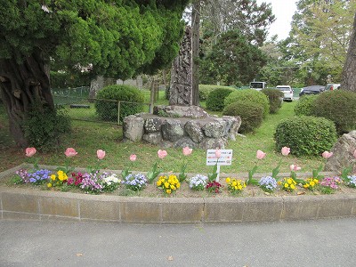 篠山幼稚園2