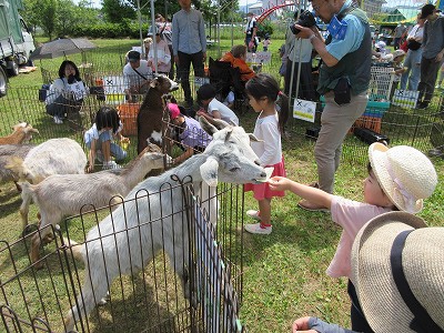 多忙な日5