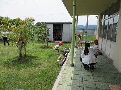 たまみず幼稚園1