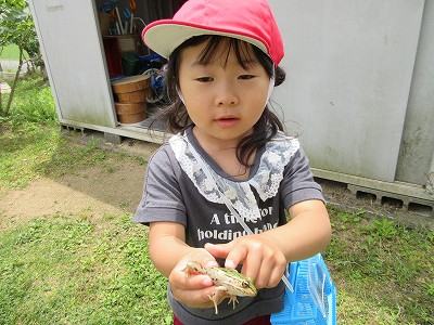 たまみず幼稚園5