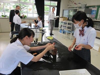 丹南中学校2