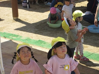 多紀認定こども園7