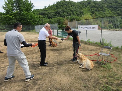 サル追い払い犬2