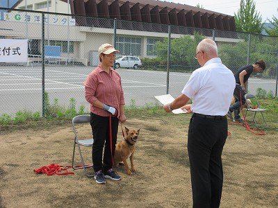 サル追い払い犬3