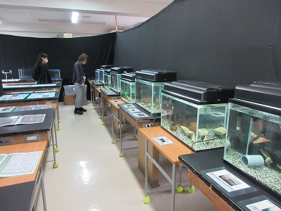 福住祭6