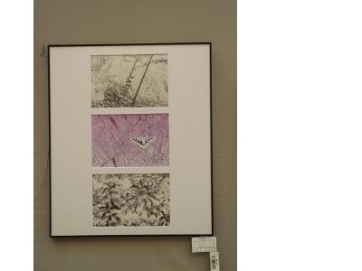 市展7