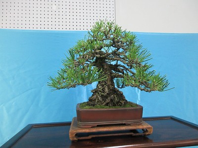 市展表彰式3