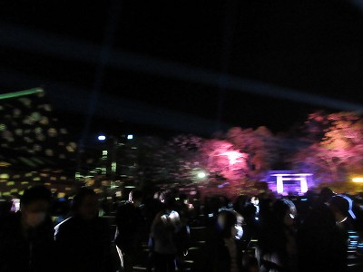 春の夜祭5