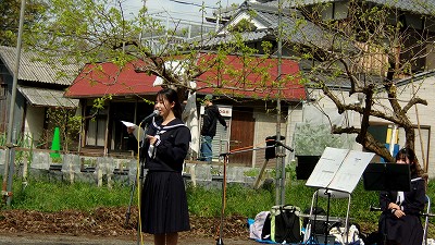 にしきしゃくなげ祭り5