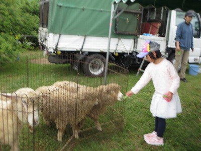 ふれあい動物園3