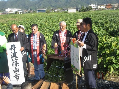 黒枝豆解禁セレモニー6