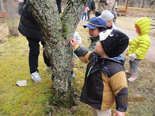 【以前の様子】
