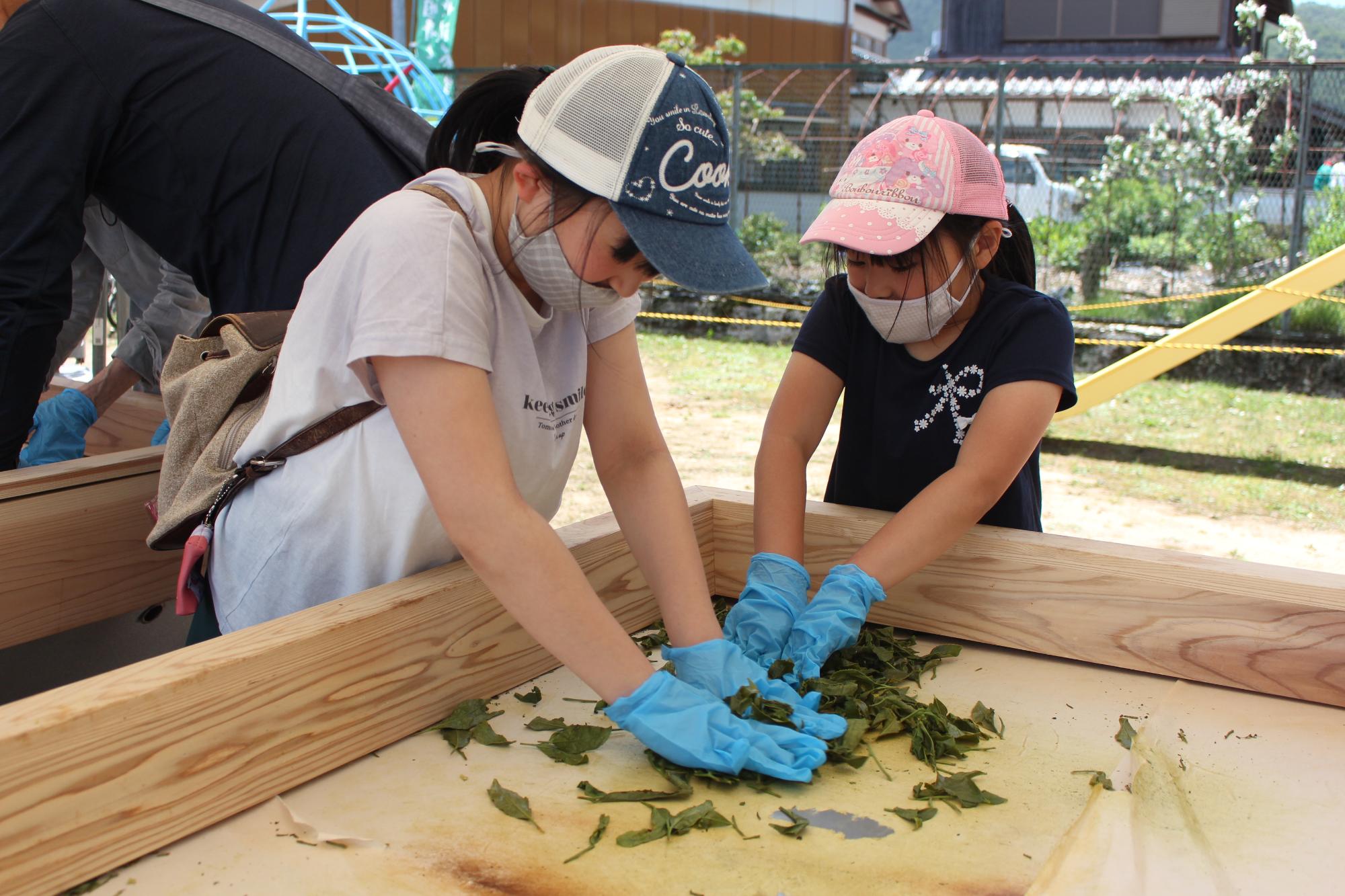 手揉み体験の様子1