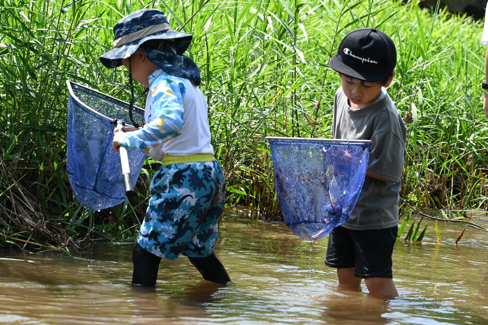 じゃことりの様子
