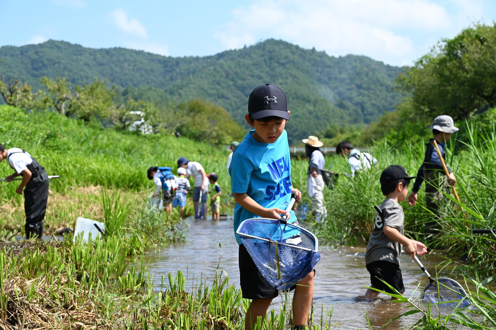 じゃことりの風景