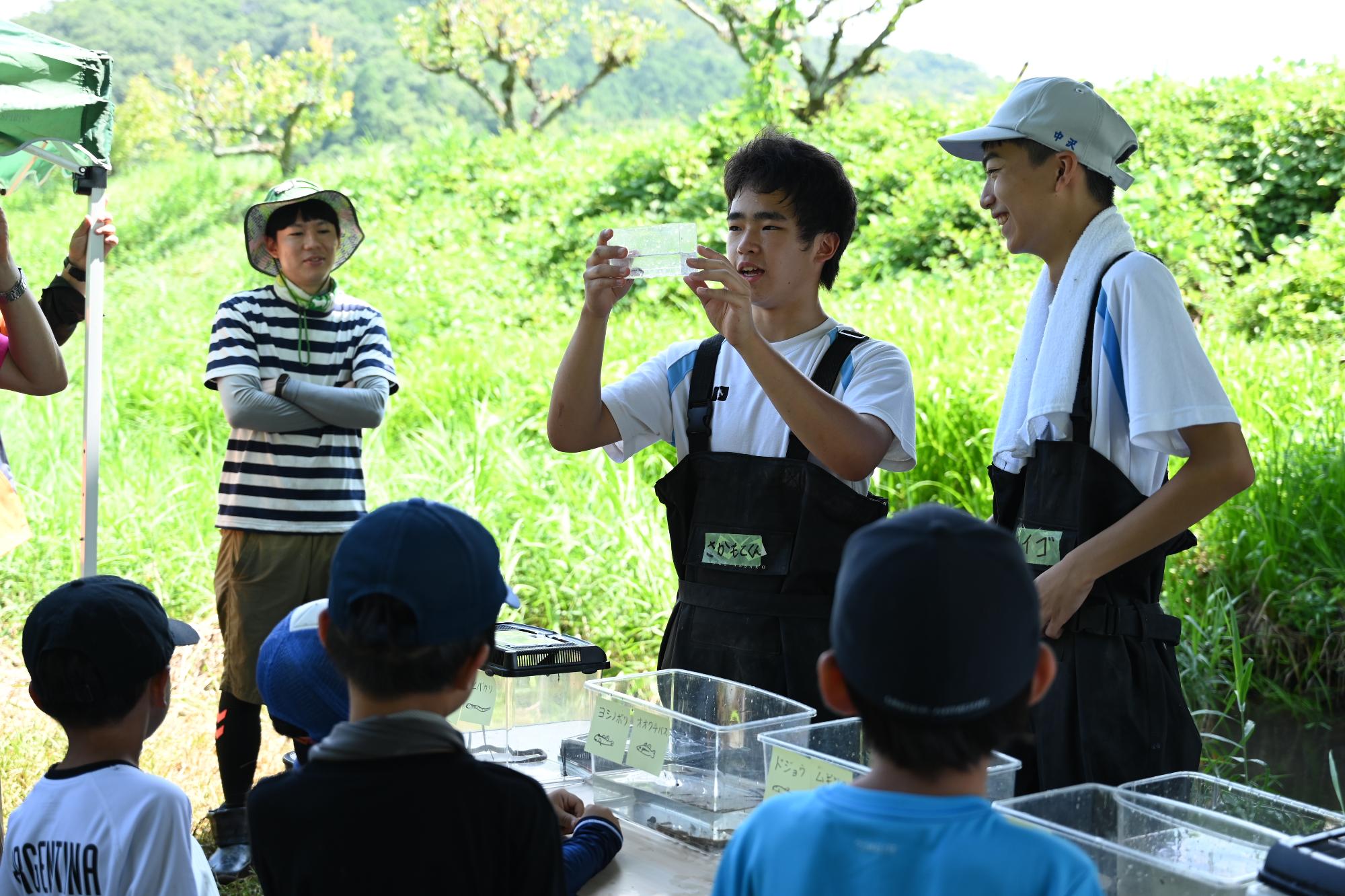 いきものの説明