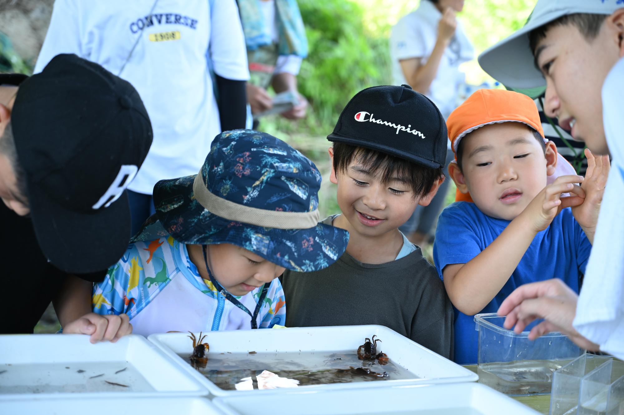 生きもの観察会