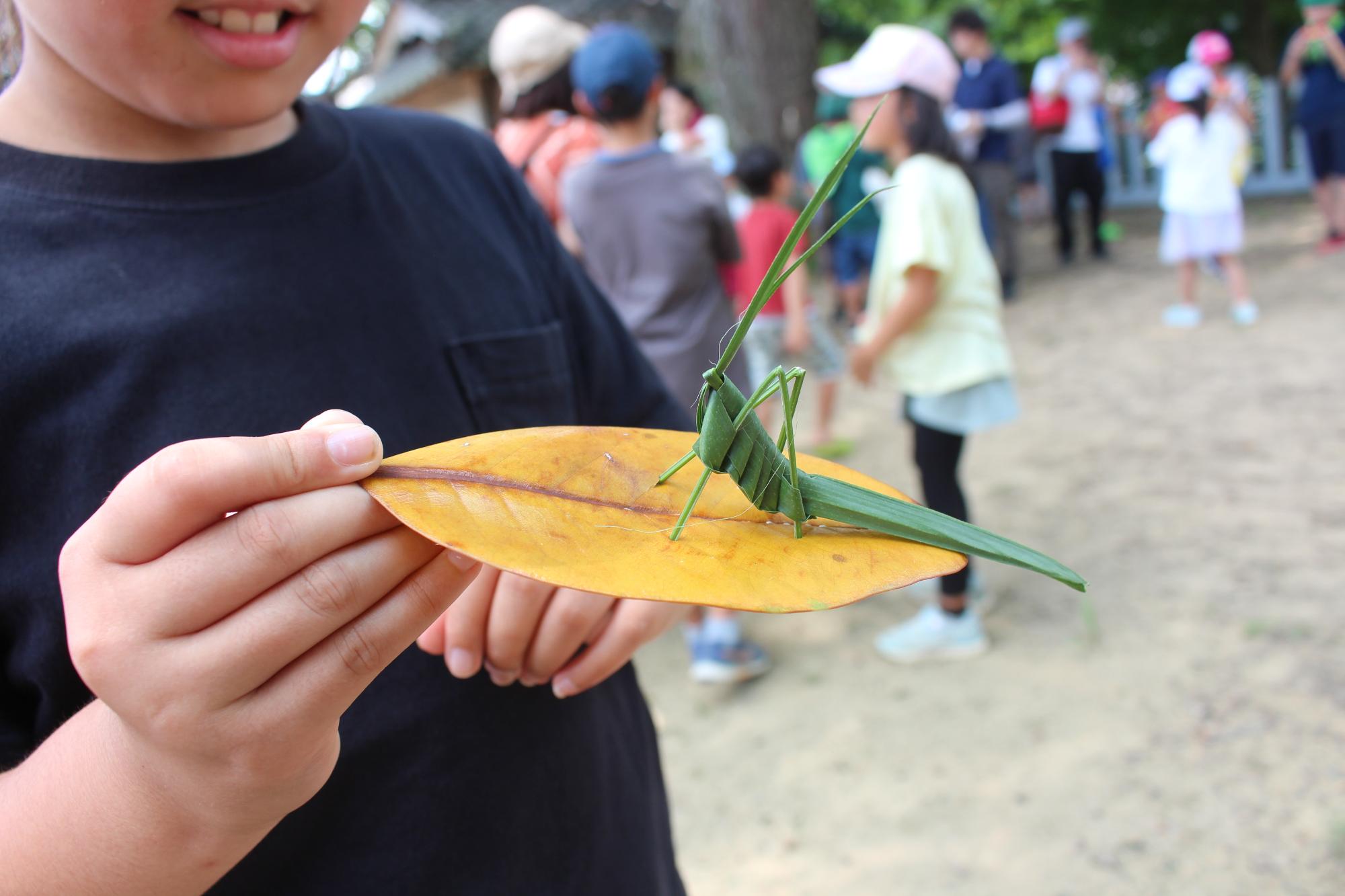 植物の草で作ったバッタ