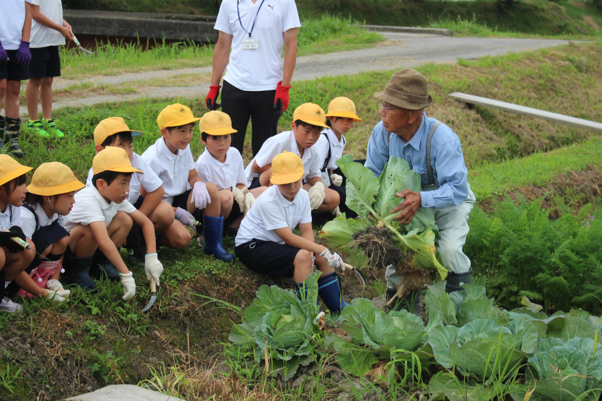 小学生に説明する藤原さん