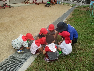 子ども園4