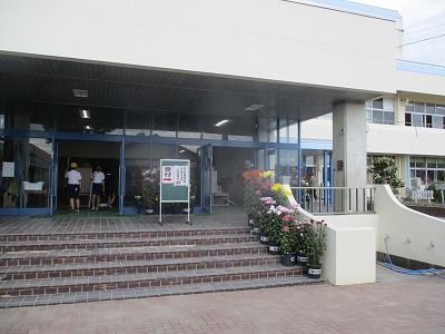 診断1