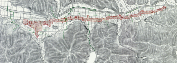 篠山市福住伝統的建造物群保存地区の範囲図