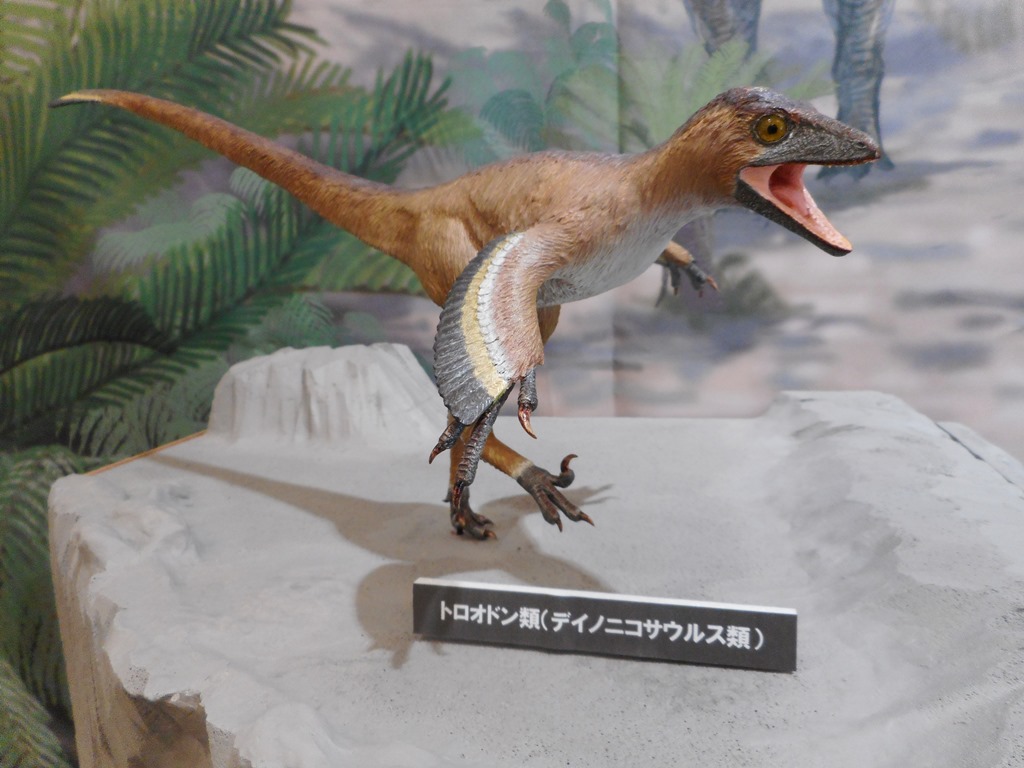 トロオドン類（デイノニコサウルス類）